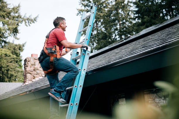 Best Skylight Installation and Repair  in Pemberville, OH